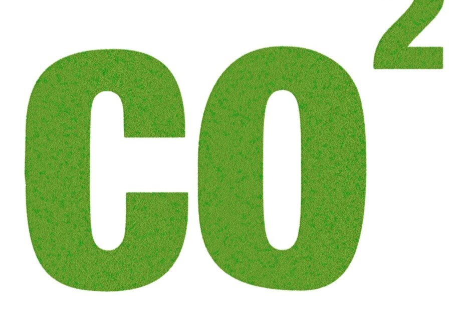 Białe certyfikaty - redukcja emisji CO2. Obrazek przedstawia napis CO2, na którym rośnie zielona trawa symbolizująca redukcję emisji dwutlenku węgla.